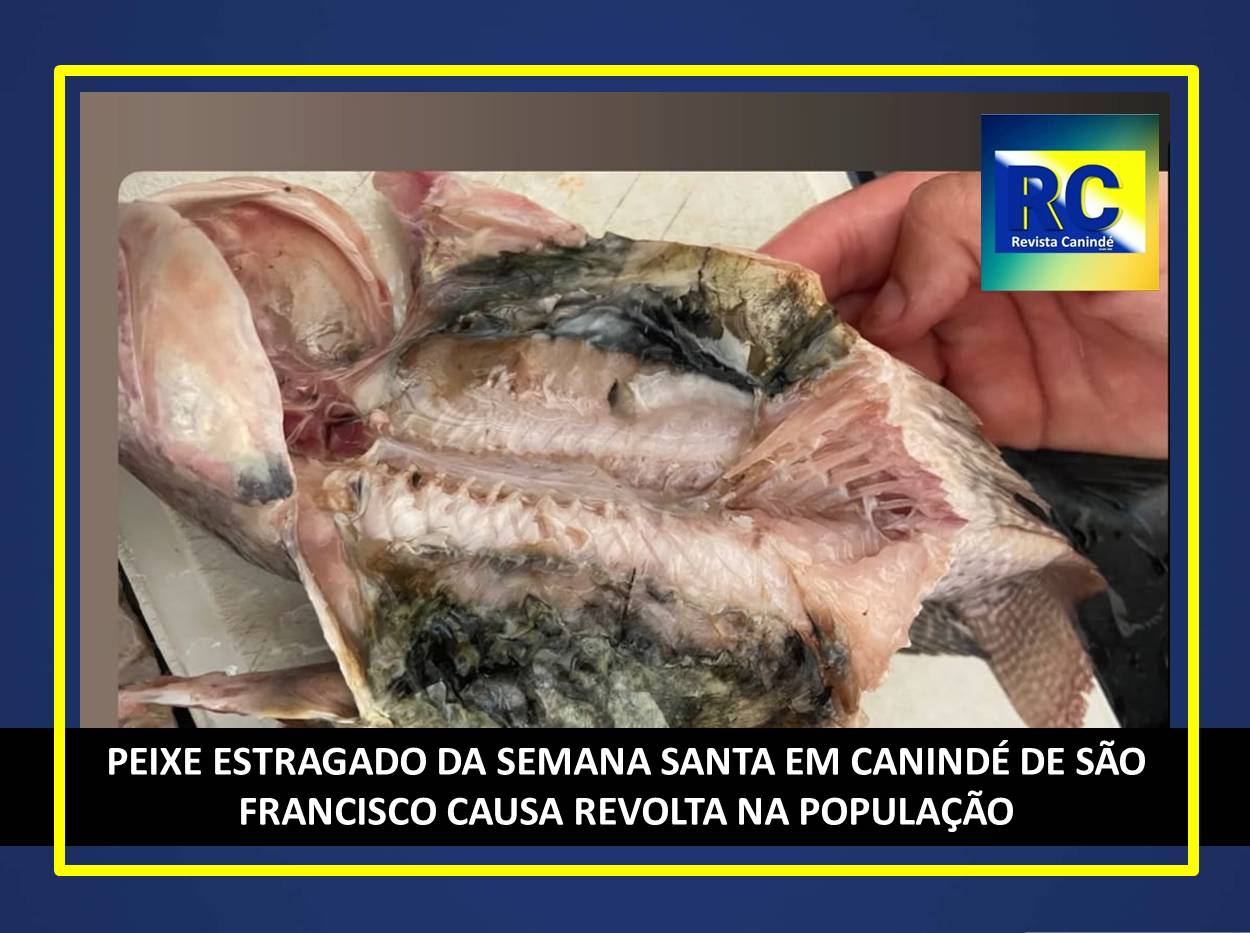 peixeestragado